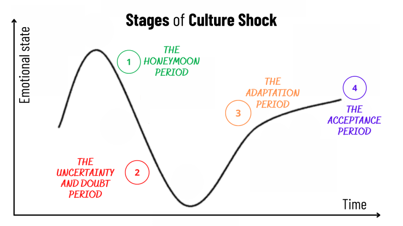 A graphic showing the stages of culture shock. Illustration by the author
