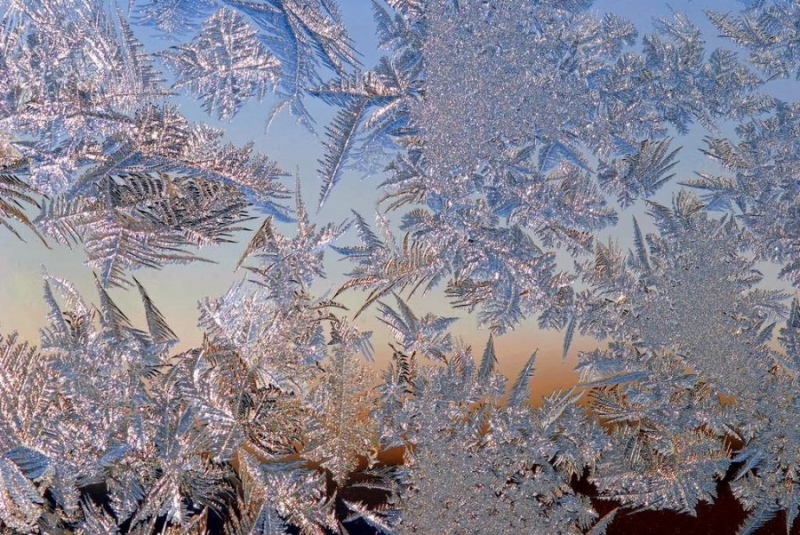 Frost patterns. Credit: livejournal.com