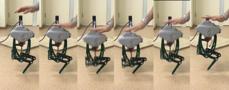 Prototype of a leg of a galloping robot optimized based on evolutionary alrogithms